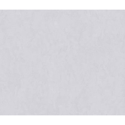 Concept Mist 120x300 Matt (6 мм)