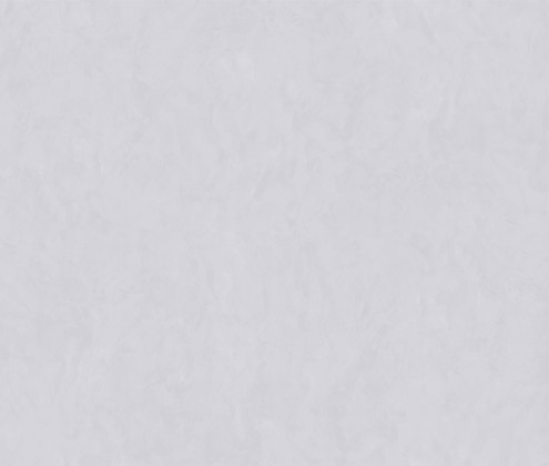 Concept Mist 120x300 Matt (6 мм)