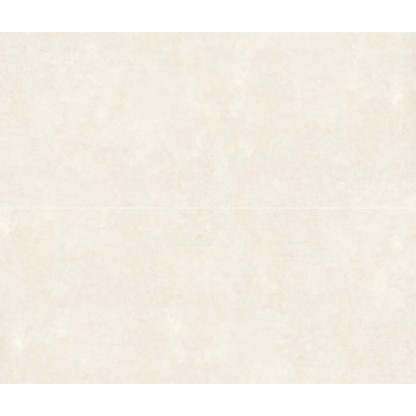 Vela Natural 120x300 Matt (6мм)