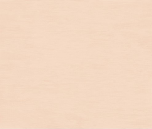 Valan Ges 120x300 Matt (6 мм)