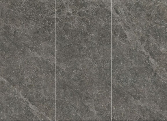 Florentines Ash 120x270 Polished (6 мм)