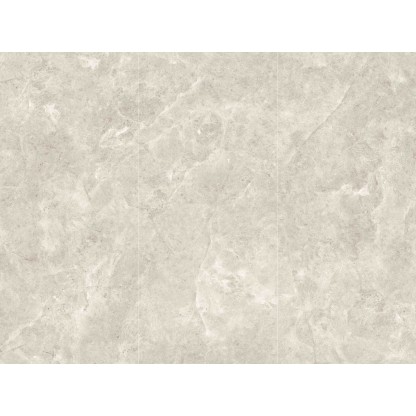 Platinum Leica 120x270 Matt (6 мм)