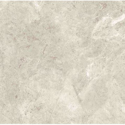 Platinum Leica 120x120 Polished (6 мм)