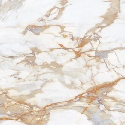 Calacatta Gold 120x120 Polished (6мм)