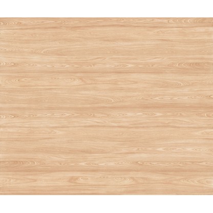 Woodbreak Oak 120x300 Matt (6 мм)