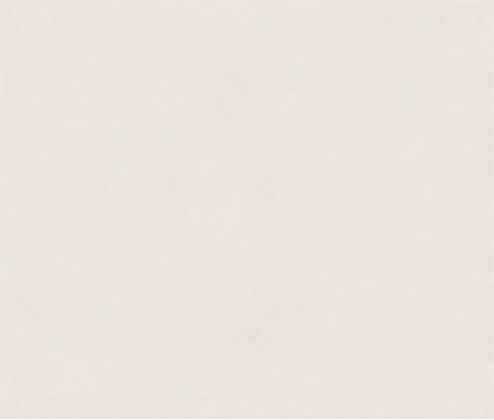 Terra Desert 120x300 Matt (6 мм)