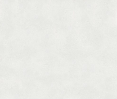 Cleveland White 120x300 Matt (6мм)