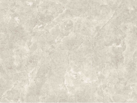 Platinum Leica 120x260 Matt (6 мм)